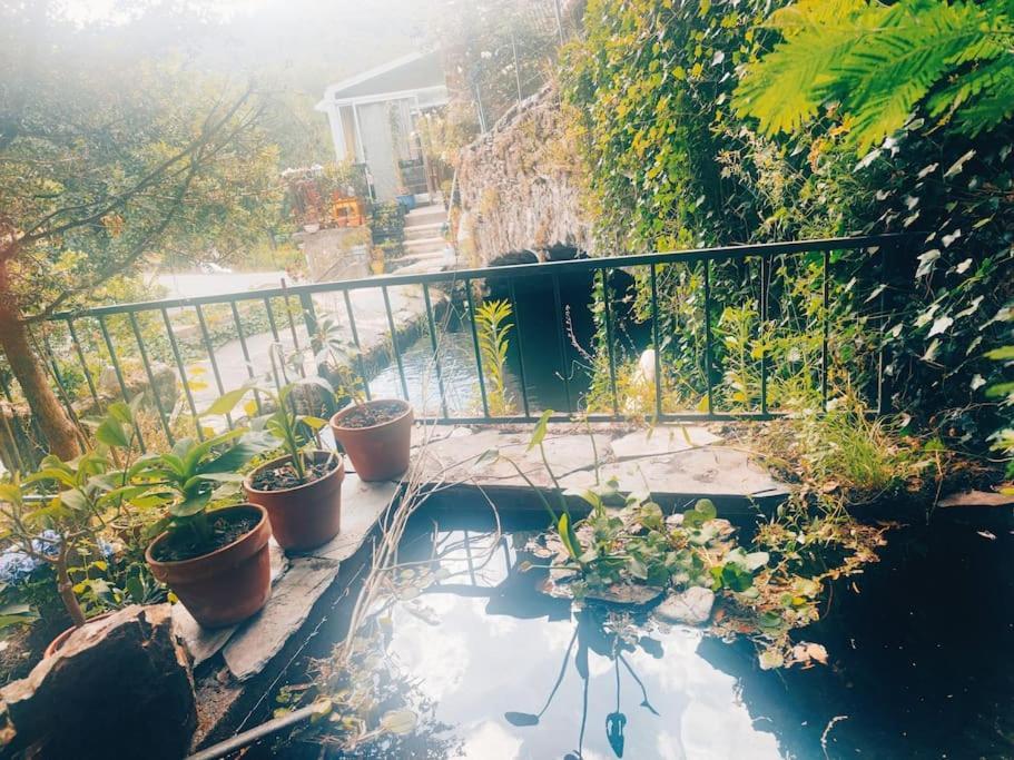 Gite Et Jardin En Bord De Riviere Saumane 외부 사진