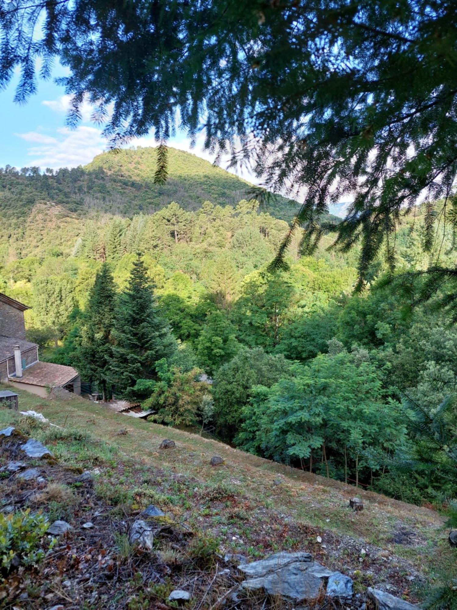 Gite Et Jardin En Bord De Riviere Saumane 외부 사진